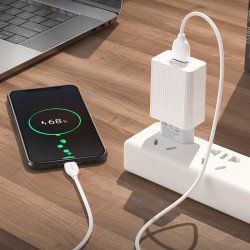 Мережевий зарядний пристрій Borofone BA47A